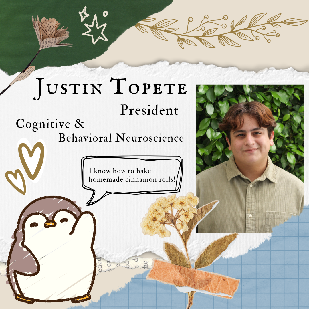 Justin Profile Info